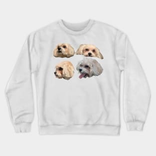 Shihpoo Crewneck Sweatshirt